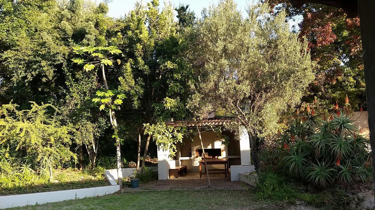 Amberhall Guesthouse Johannesburg Bagian luar foto
